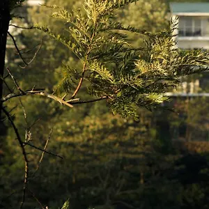 https://falcon-crest.kerala-hotels.net